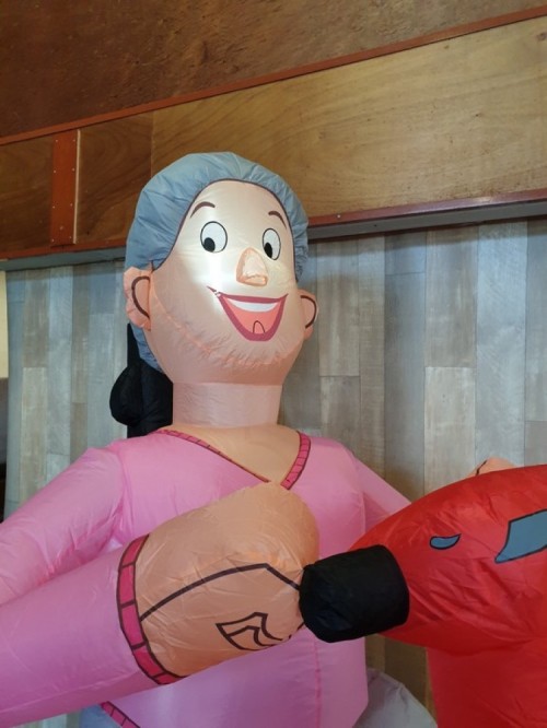 Indoor Sarah Scootmobiel 2,3m